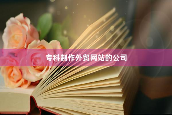 专科制作外贸网站的公司